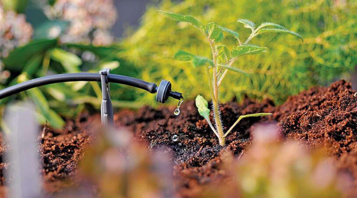 Drip irrigation: an economical and effective solution